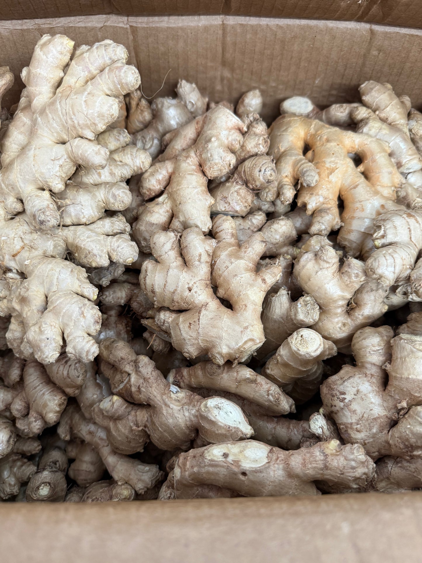 Ginger root 1lb