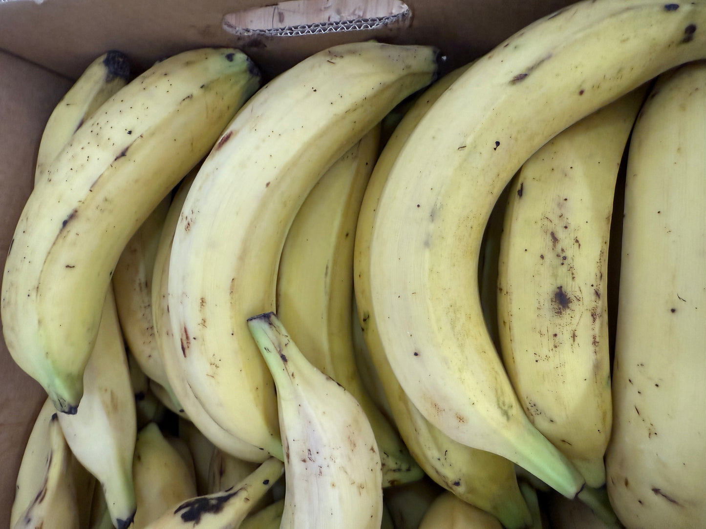 Ripe plantains